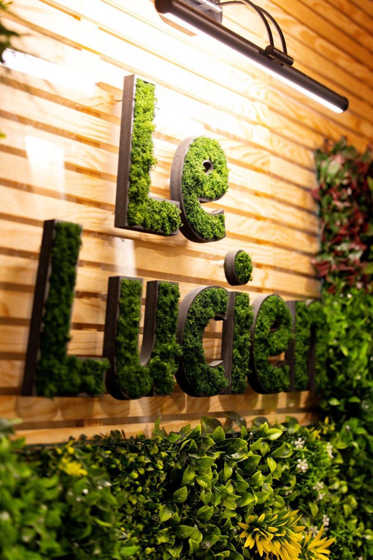 Le Lucien Eco-Appart'Hotel - Angouleme - Centre - Wifi - Parking Prive - Classe 4 Etoiles Экстерьер фото