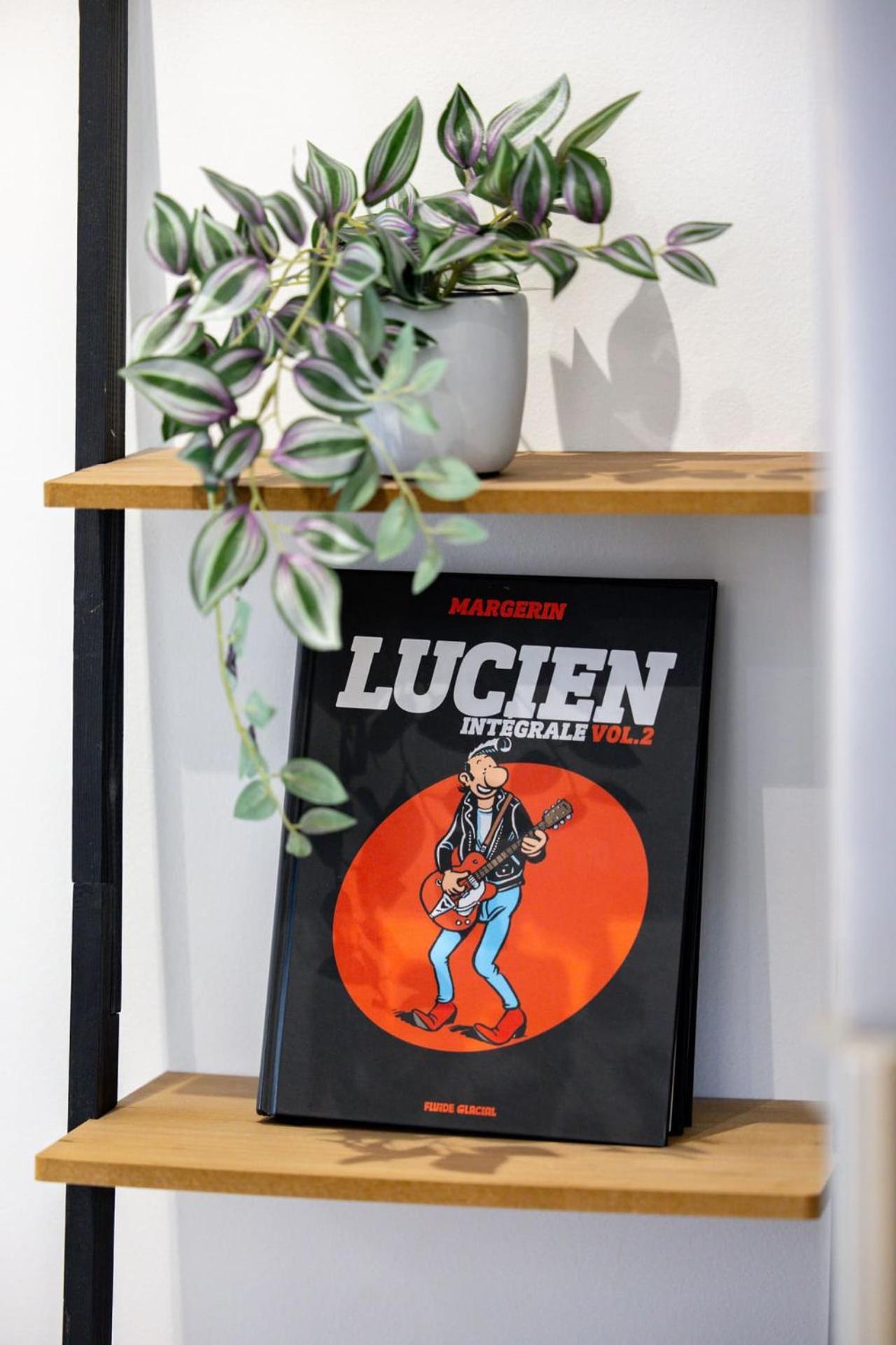 Le Lucien Eco-Appart'Hotel - Angouleme - Centre - Wifi - Parking Prive - Classe 4 Etoiles Экстерьер фото