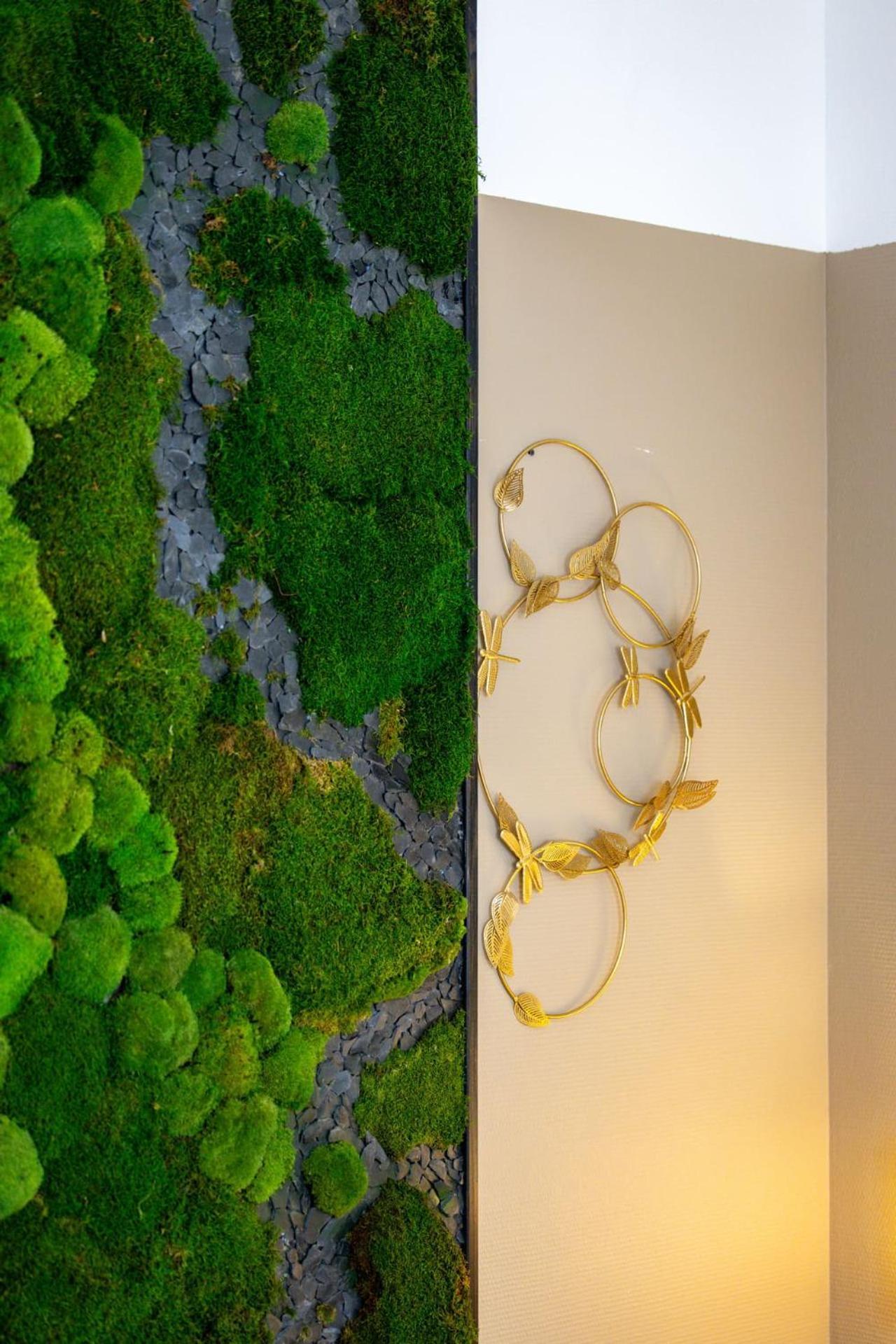Le Lucien Eco-Appart'Hotel - Angouleme - Centre - Wifi - Parking Prive - Classe 4 Etoiles Экстерьер фото